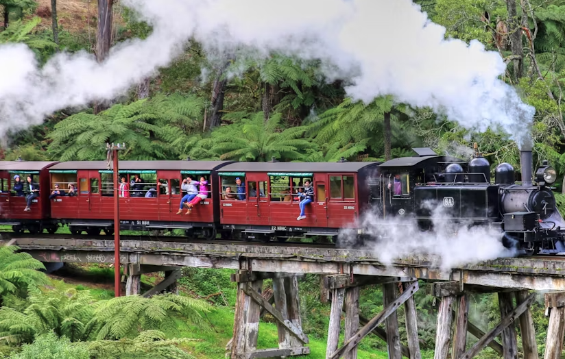Puffing Billy and Healesville Sanctuary scenic bus tour - Image 2